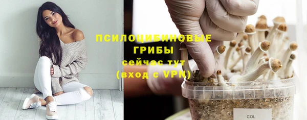 тгк Лиски