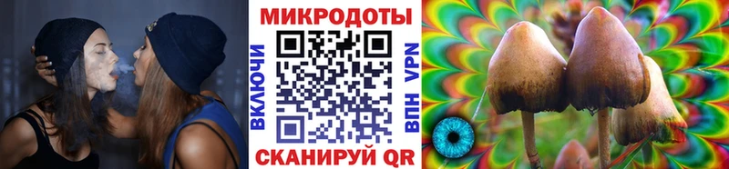 Псилоцибиновые грибы GOLDEN TEACHER  где купить наркоту  Сызрань 